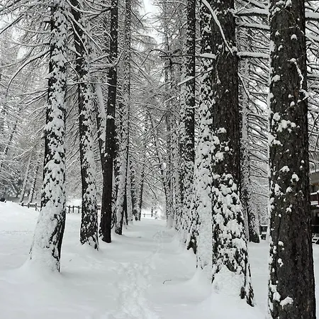 Casa D'alpe -boutique Chaberton View Appartement Sansicario Torinese