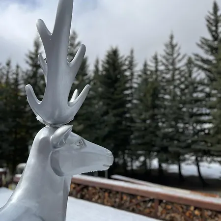 Casa D'alpe -boutique Chaberton View Appartement